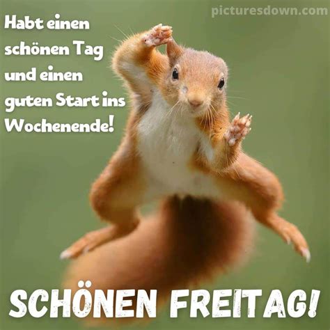 lustige guten morgen spruch|guten morgen freitag lustig.